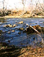 Sally's Ford Site